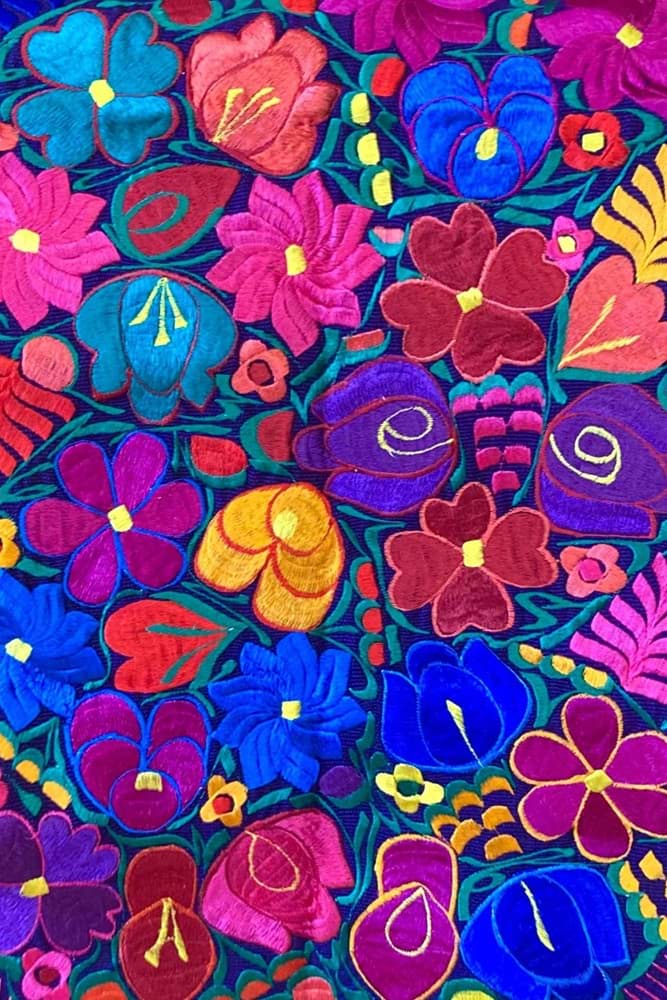 Mor üzeri renkli, çiçekli Meksika Runner resmi